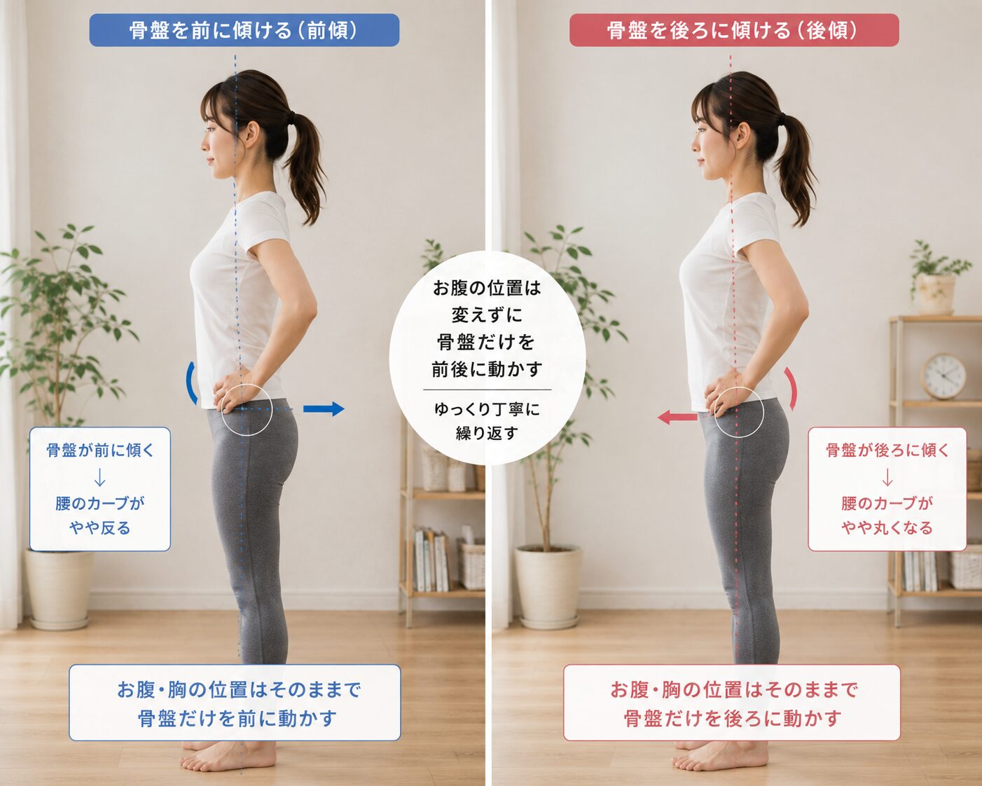 出っ尻と反り腰を解消する骨盤リセットケア
